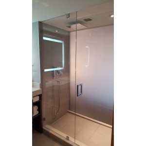 Glass Shower door
